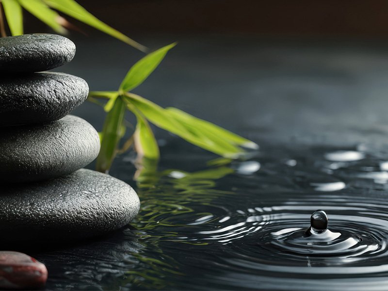 Ayurveda & Yoga